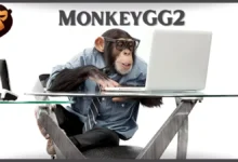 monkeygg2